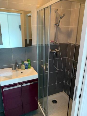 Petit Studio Dans Villa Bord De Lac Aix-les-Bains Kültér fotó
